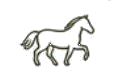 Reiten am Meer